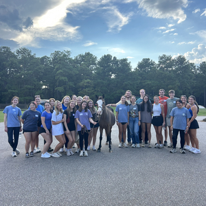 Team Page: Volunteer Team: Wednesday